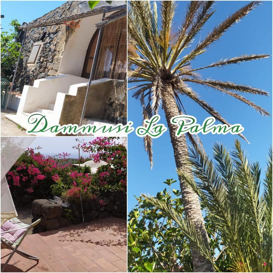 La Palma Prázdninový dům San Michele (Pantelleria)
